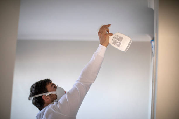 Best Office Mold Removal Services  in Roseland, OH
