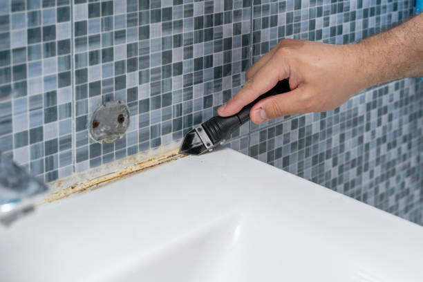 Best Fast Mold Removal  in Roseland, OH